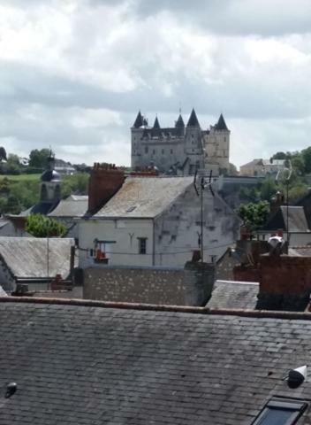 Appt 2Eme Etage Sur L'Ile De Saumur Ngoại thất bức ảnh
